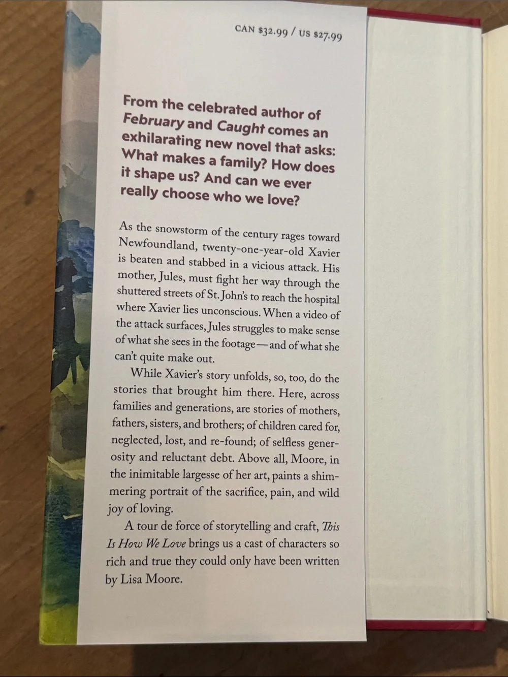 This Is How We Love - Lisa Moore hardcover Book - Picture 5 of 13
